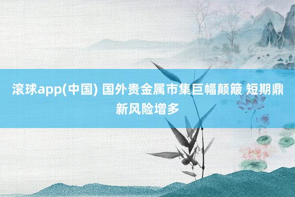 滚球app(中国) 国外贵金属市集巨幅颠簸 短期鼎新风险增多