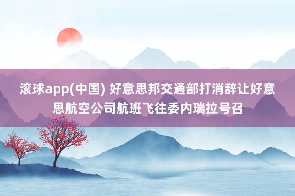 滚球app(中国) 好意思邦交通部打消辞让好意思航空公司航班飞往委内瑞拉号召