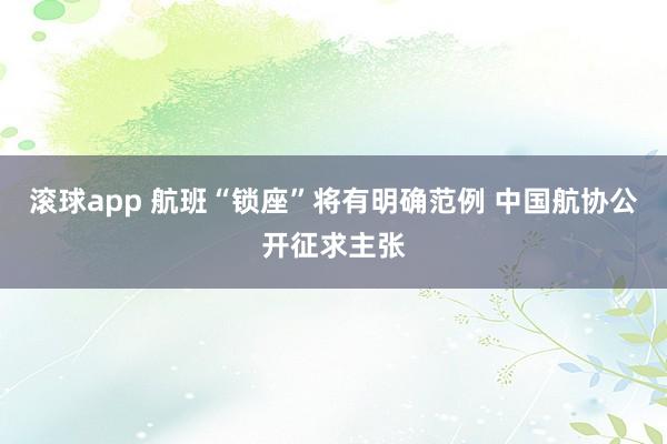滚球app 航班“锁座”将有明确范例 中国航协公开征求主张