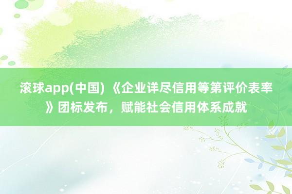 滚球app(中国) 《企业详尽信用等第评价表率》团标发布，赋能社会信用体系成就