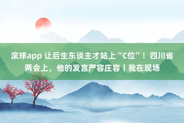 滚球app 让后生东谈主才站上“C位”！四川省两会上，他的发言严容庄容丨我在现场