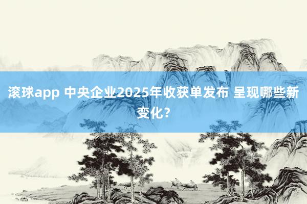 滚球app 中央企业2025年收获单发布 呈现哪些新变化？