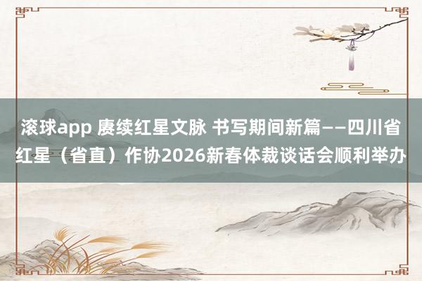 滚球app 赓续红星文脉 书写期间新篇——四川省红星（省直）作协2026新春体裁谈话会顺利举办