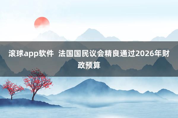 滚球app软件  法国国民议会精良通过2026年财政预算