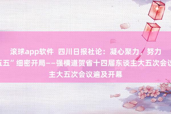 滚球app软件  四川日报社论：凝心聚力，努力竣事“十五五”细密开局——强横道贺省十四届东谈主大五次会议遍及开幕