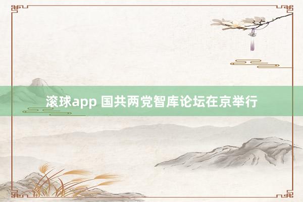 滚球app 国共两党智库论坛在京举行
