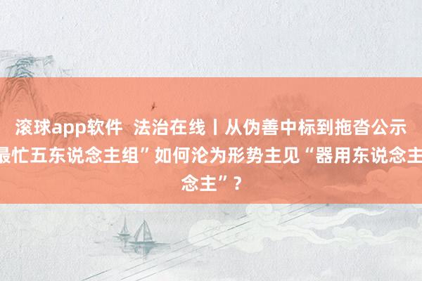 滚球app软件  法治在线丨从伪善中标到拖沓公示 “最忙五东说念主组”如何沦为形势主见“器用东说念主”？