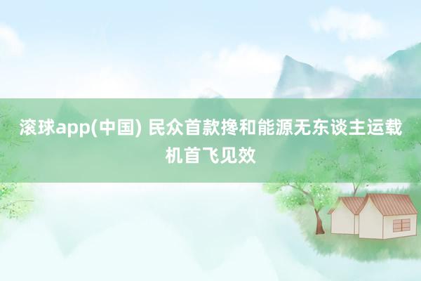 滚球app(中国) 民众首款搀和能源无东谈主运载机首飞见效