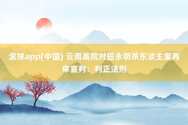 滚球app(中国) 云南高院对田永明杀东谈主案再审宣判：判正法刑