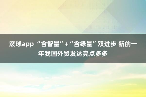 滚球app “含智量”+“含绿量”双进步 新的一年我国外贸发达亮点多多