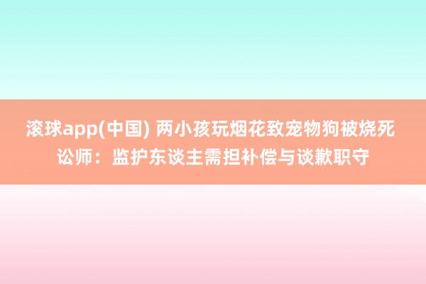 滚球app(中国) 两小孩玩烟花致宠物狗被烧死 讼师：监护东谈主需担补偿与谈歉职守