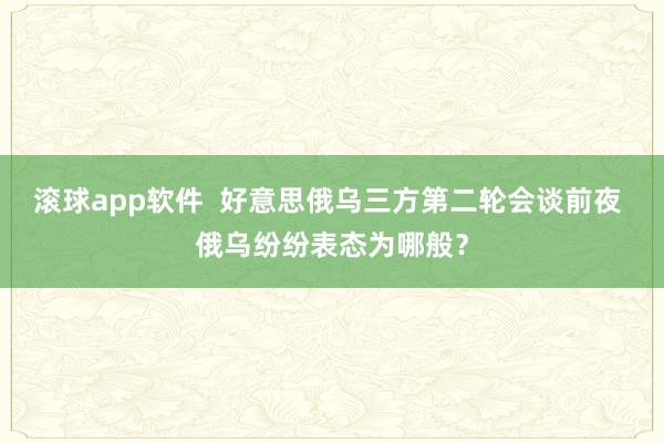 滚球app软件  好意思俄乌三方第二轮会谈前夜 俄乌纷纷表态为哪般？