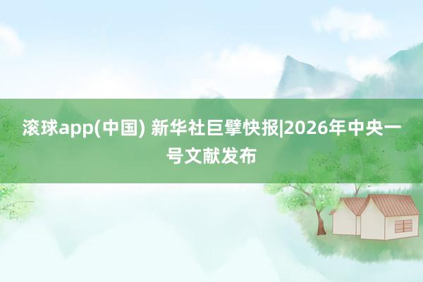 滚球app(中国) 新华社巨擘快报|2026年中央一号文献发布
