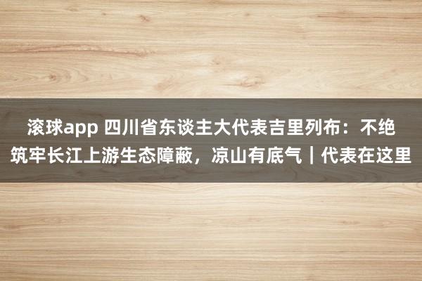 滚球app 四川省东谈主大代表吉里列布：不绝筑牢长江上游生态障蔽，凉山有底气｜代表在这里