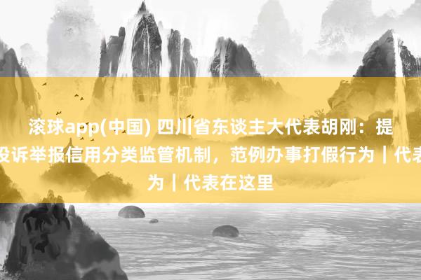 滚球app(中国) 四川省东谈主大代表胡刚：提议缔造投诉举报信用分类监管机制，范例办事打假行为｜代表在这里