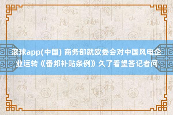 滚球app(中国) 商务部就欧委会对中国风电企业运转《番邦补贴条例》久了看望答记者问