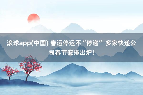 滚球app(中国) 春运停运不“停递” 多家快递公司春节安排出炉！