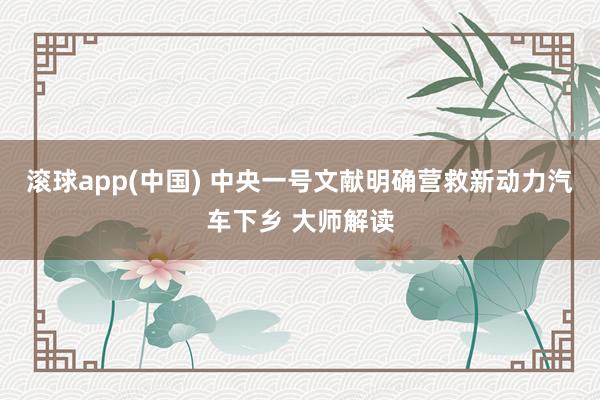 滚球app(中国) 中央一号文献明确营救新动力汽车下乡 大师解读