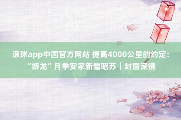 滚球app中国官方网站 提高4000公里的约定：“娇龙”月季安家新疆昭苏｜封面深镜