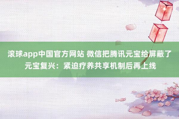 滚球app中国官方网站 微信把腾讯元宝给屏蔽了 元宝复兴：紧迫疗养共享机制后再上线