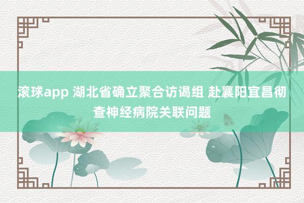 滚球app 湖北省确立聚合访谒组 赴襄阳宜昌彻查神经病院关联问题