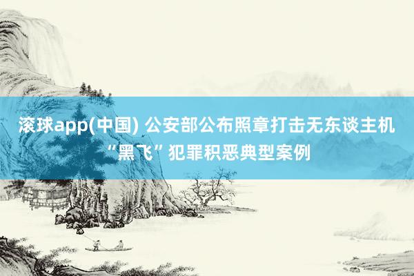 滚球app(中国) 公安部公布照章打击无东谈主机“黑飞”犯罪积恶典型案例