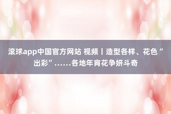 滚球app中国官方网站 视频丨造型各样、花色“出彩”……各地年宵花争妍斗奇