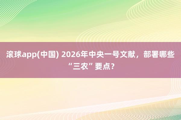 滚球app(中国) 2026年中央一号文献，部署哪些“三农”要点？