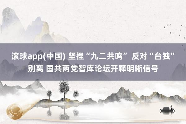 滚球app(中国) 坚捏“九二共鸣” 反对“台独”别离 国共两党智库论坛开释明晰信号