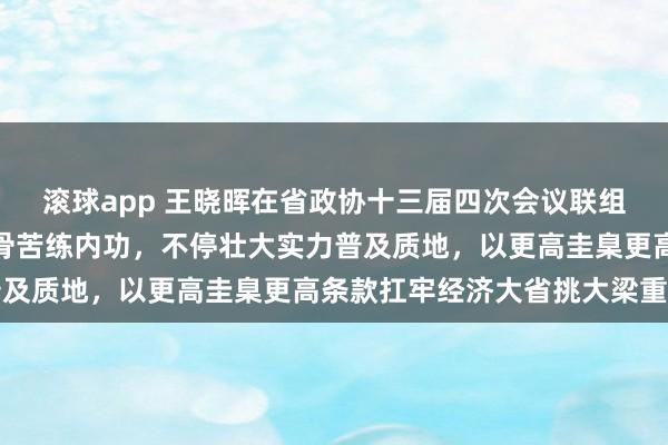 滚球app 王晓晖在省政协十三届四次会议联组会上强调：持续强筋壮骨苦练内功，不停壮大实力普及质地，以更高圭臬更高条款扛牢经济大省挑大梁重任