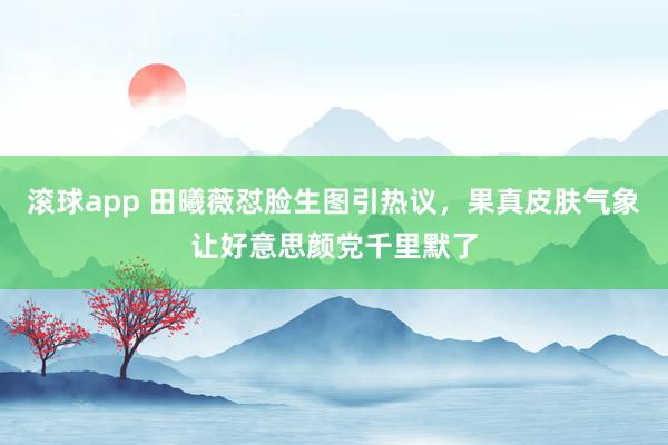 滚球app 田曦薇怼脸生图引热议，果真皮肤气象让好意思颜党千里默了