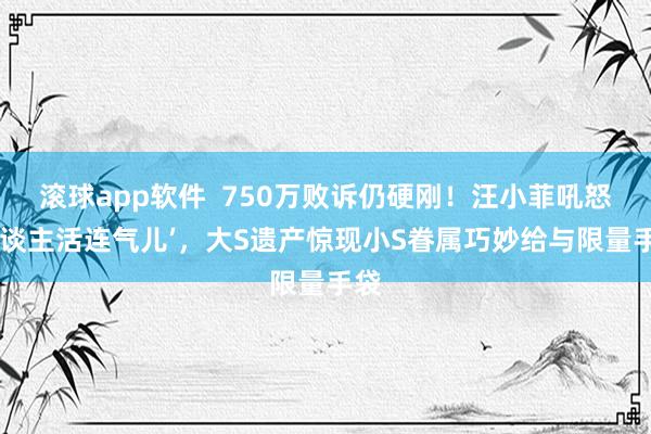滚球app软件  750万败诉仍硬刚！汪小菲吼怒‘东谈主活连气儿’，大S遗产惊现小S眷属巧妙给与限量手袋