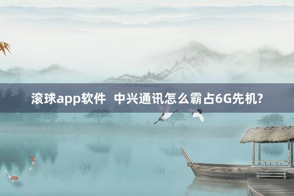 滚球app软件  中兴通讯怎么霸占6G先机?