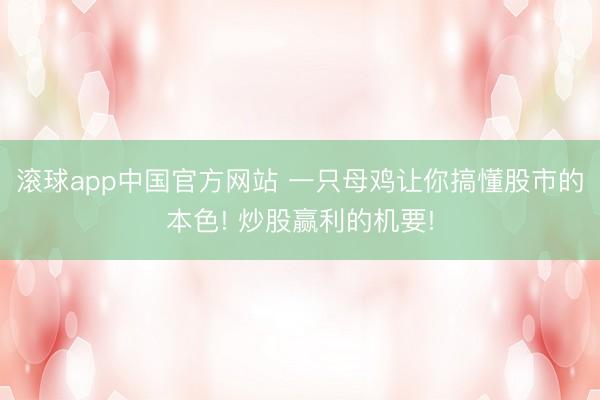 滚球app中国官方网站 一只母鸡让你搞懂股市的本色! 炒股赢利的机要!
