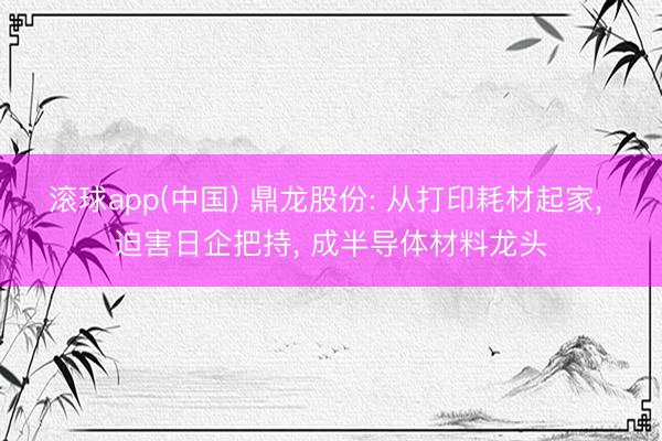滚球app(中国) 鼎龙股份: 从打印耗材起家， 迫害日企把持， 成半导体材料龙头