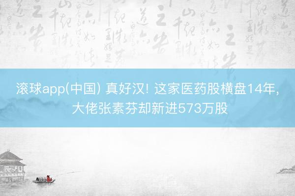 滚球app(中国) 真好汉! 这家医药股横盘14年， 大佬张素芬却新进573万股
