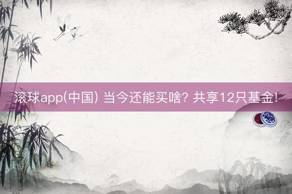 滚球app(中国) 当今还能买啥? 共享12只基金!
