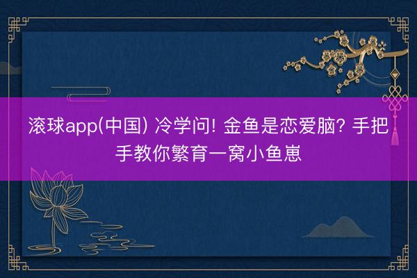 滚球app(中国) 冷学问! 金鱼是恋爱脑? 手把手教你繁育一窝小鱼崽