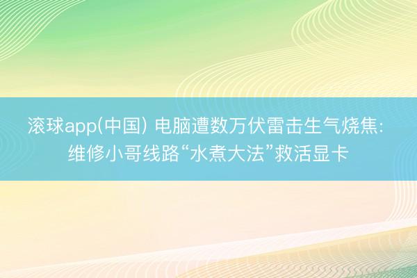 滚球app(中国) 电脑遭数万伏雷击生气烧焦: 维修小哥线路“水煮大法”救活显卡
