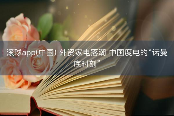 滚球app(中国) 外资家电落潮 中国度电的“诺曼底时刻”