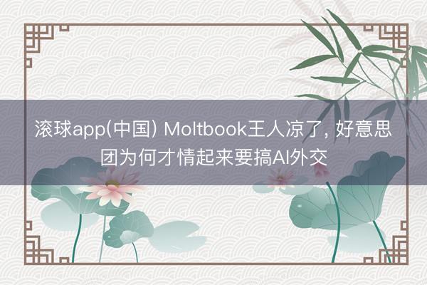 滚球app(中国) Moltbook王人凉了， 好意思团为何才情起来要搞AI外交