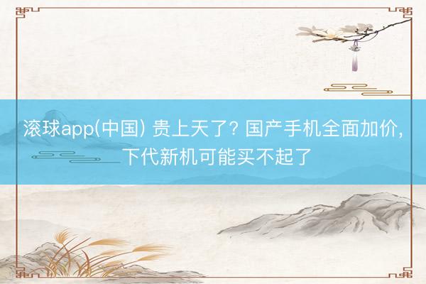 滚球app(中国) 贵上天了? 国产手机全面加价, 下代新机可能买不起了
