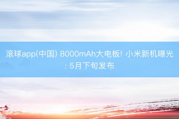 滚球app(中国) 8000mAh大电板! 小米新机曝光: 5月下旬发布