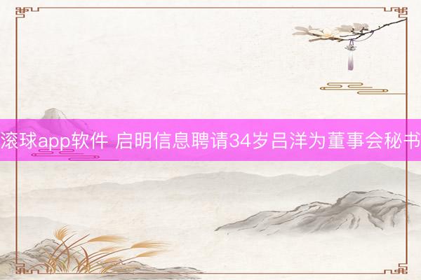 滚球app软件 启明信息聘请34岁吕洋为董事会秘书