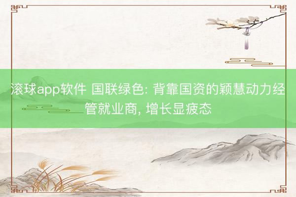 滚球app软件 国联绿色: 背靠国资的颖慧动力经管就业商， 增长显疲态