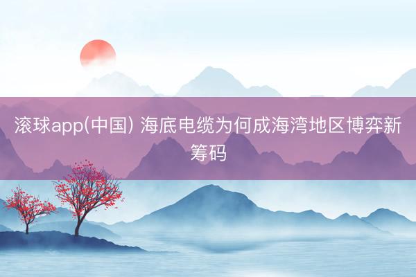滚球app(中国) 海底电缆为何成海湾地区博弈新筹码