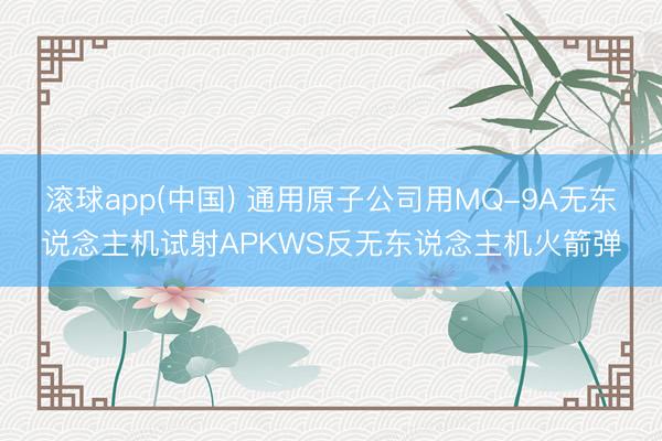 滚球app(中国) 通用原子公司用MQ-9A无东说念主机试射APKWS反无东说念主机火箭弹