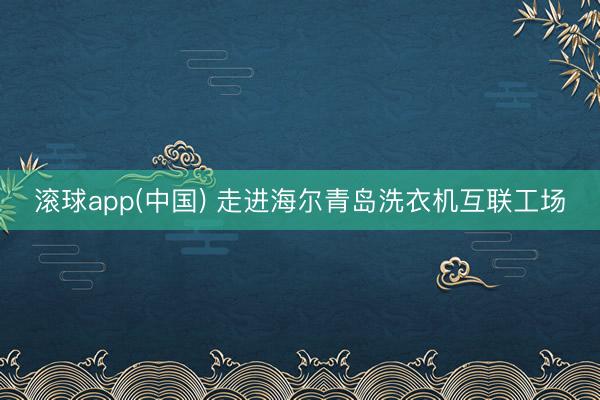 滚球app(中国) 走进海尔青岛洗衣机互联工场