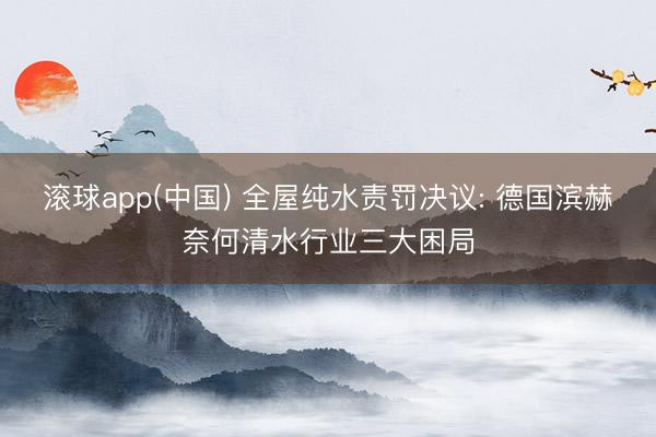 滚球app(中国) 全屋纯水责罚决议: 德国滨赫奈何清水行业三大困局