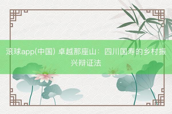 滚球app(中国) 卓越那座山：四川国寿的乡村振兴辩证法